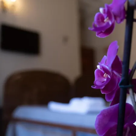 Citta Di Castello Rooms