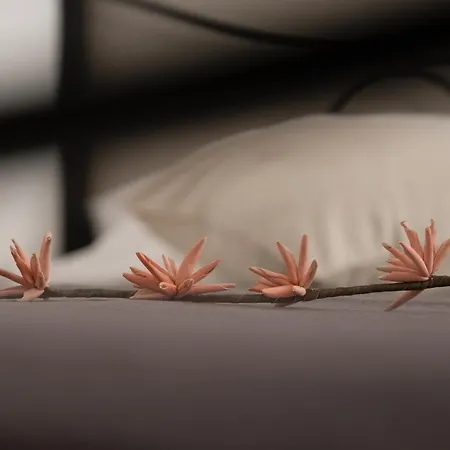 Citta Di Castello Rooms Pensión 4*