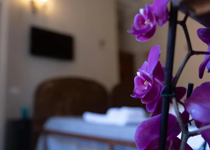 Citta Di Castello Rooms