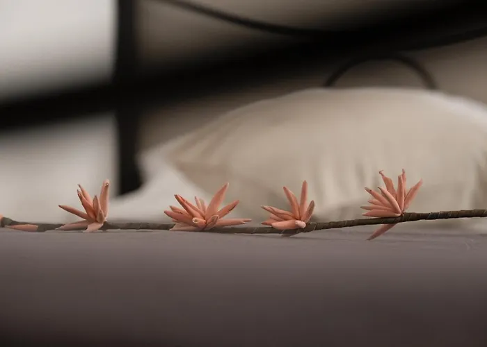 Citta Di Castello Rooms Penzion 4*